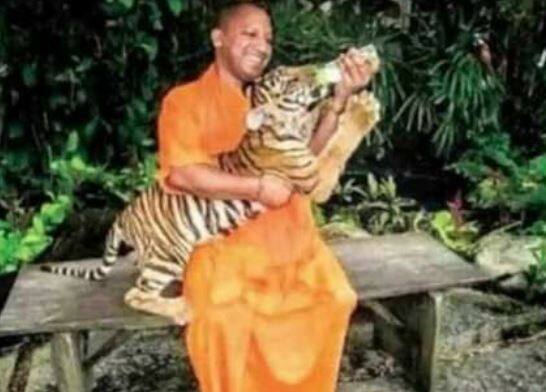 दूसरे लोकसभा चुनाव में योगी सपा प्रत्याशी जमुना निषाद से जहां हारते-हारते जीते. जीत का अंतर महज सात हजार वोटों का था. इसके बाद तो उन्होंने ताबड़तोड़ जीत हासिल कर अपनी ताकत का एहसास कराया. 2014 के लोकसभा चुनाव में ताबड़तोड़ रैलियां कर उन्होंने स्टार प्रचारक की भूमिका का निर्वहन किया और गोरखपुर से चुनाव जीतकर अपनी हनक भी कायम रखी. साल 2017 के विधानसभा चुनाव के बाद उन्होंने 19 मार्च 2017 को उत्तर प्रदेश के मुख्यमंत्री पद की शपथ ली.