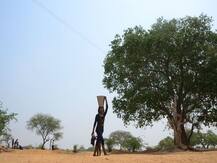 आज केरल पहुंचेगा मानसून, MP और राजस्थान में फिलहाल गर्मी से राहत नहीं, कई इलाकों में पानी की किल्लत