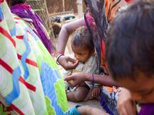 भुखमरी से लड़ने में पंजाब और केरल समेत 5 राज्य सबसे टॉप पर, झारखंड समेत कई बड़े राज्य पीछे