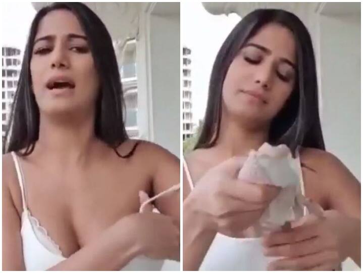 VIDEO: पूनम पांडे ने पाकिस्तान को दिया करारा जवाब, वर्ल्ड कप में वायरल हो रहा था डुप्लीकेट विंग कमांडर वाला ऐड Poonam Pandey removes her bra on camera and gave befitting reply to pakistan over viral ad video portraying duplicate of wing commander abhinandan kumar for world cup 2019 VIDEO: पूनम पांडे ने पाकिस्तान को दिया करारा जवाब, वर्ल्ड कप में वायरल हो रहा था डुप्लीकेट विंग कमांडर वाला ऐड