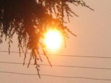 बिहार: लू बनी आफत, अबतक 83 की मौत, औरंगाबाद में 34, गया में 35 और नवादा में 14 लोगों की जान गई