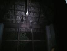 बिहार में मेडिकल व्यवस्था बेहाल, केंद्रीय मंत्री अश्विनी चौबे के क्षेत्र के सदर अस्पताल में मोमबत्ती के सहारे हो रहा पोस्टमार्टम