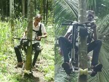 In Pics: सड़क नहीं, पेड़ों पर फर्राटे भरती है ये बाइक, कर्नाटक के किसान ने किया चमत्कार