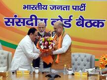 BJP के कार्यकारी अध्यक्ष बने जेपी नड्डा, संसदीय बोर्ड की बैठक में लिया गया फैसला