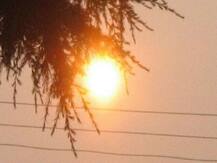 बिहार: लू से मरने वालों की संख्या बढ़कर 90 हुई, औरंगाबाद में 41, गया में 35 और नवादा में 14 लोगों की जान गई