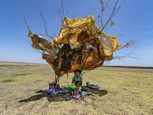 चेन्नई में पानी की भयानक किल्लत: सूखी पड़ी हैं नदियां, प्ले स्कूल भी बंद, इधर-उधर भटक रहे हैं लोग