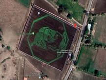 महाराष्ट्र: गूगल मैप पर खेत में दिख रही शिवाजी महाराज की तस्वीर, सोशल मीडिया पर हुई वायरल