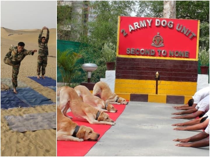 अंतरराष्ट्रीय योग दिवस का उत्सव देश सहित विदेशों में पूरे जोश और उत्साव के साथ मनाया जा रहा है. यहां देखें योगाभ्यास करते जवानों की तस्वीरें. इस दौरान सेना के ट्रेंड कुत्तों ने भी योग किया.