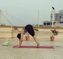 बॉलीवुड एक्ट्रेस अदा शर्मा ने इस खास अंदाज में मनाया योग दिवस, देखें तस्वीरें