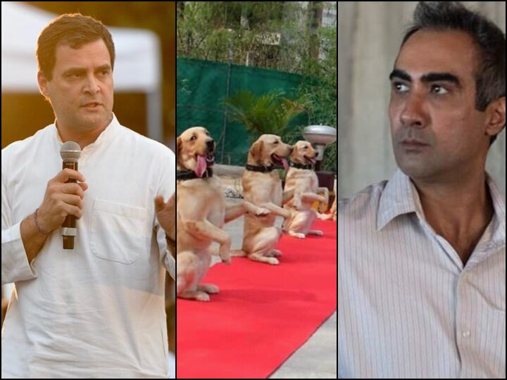 Bollywood Actor Ranvir Shorey criticizes Rahul Gandhi for his latest army dog tweet योग दिवस: राहुल गांधी के ट्वीट पर भड़के रणवीर शौरी, कहा- जब आपका परिवार राजनीति छोड़ेगा, तब बनेगा न्यू इंडिया