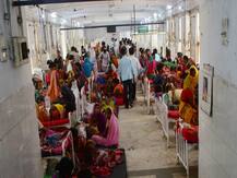 BLOG: यूपी-बिहार का स्थायी शोक बन चुकी है जापानी इंसेफेलाइटिस