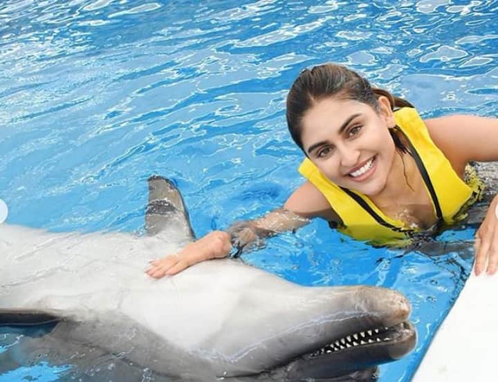 बीते दिनों क्रिस्टल जी टीवी के मशहूर सीरियल 'ब्रह्मराक्षस- जाग उठा शैतान' में 'रैना' के किरदार में नजर आईं थी. 