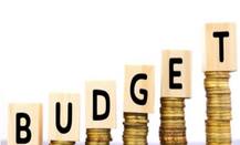 बजट 2019: ज्यादातर टैक्सपेयर्स को डायरेक्ट टैक्स में बदलाव की कोई उम्मीद नहीं- सर्वे