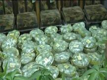 बिहार: कृषि विभाग ने विधायकों को गिफ्ट में दिया आम, राबड़ी देवी बोलीं- जो खाएगा उसे बच्चों की हाय लगेगी