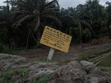 Budget 2020: ग्रामीण विकास योजनाओं का आवंटन मामूली घटा, मनरेगा के बजट में भी कमी