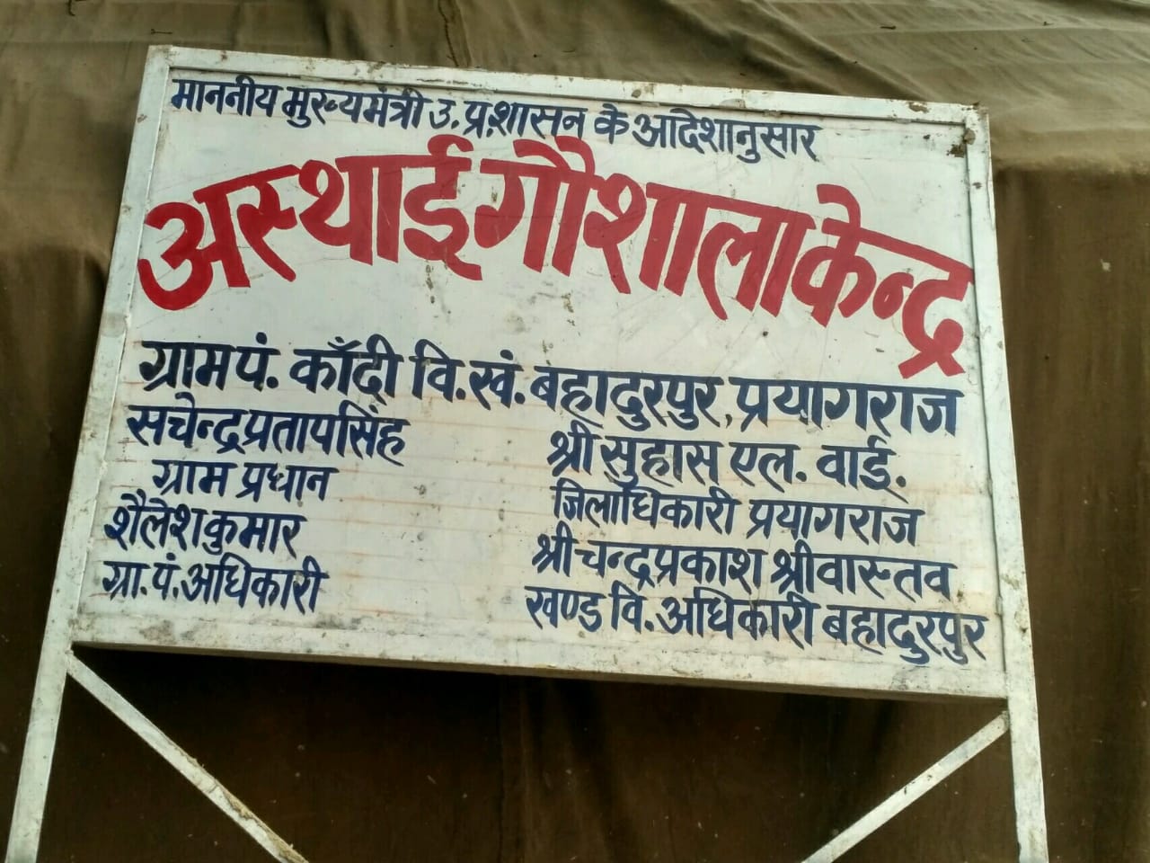 यूपी: प्रयागराज की गौशाला में 35 गायों की मौत, अंदर का हाल जान कर हिल जाएंगे आप