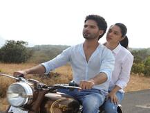 Box Office पर जारी है \'कबीर सिंह\' की बंपर कमाई, 250 करोड़ के पार पहुंचा कलेक्शन