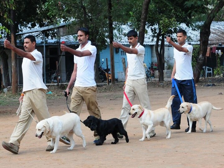Police canine transfers at centre of BJP-Cong fight in MP MP गजब है: कमलनाथ सरकार ने पुलिस के 46 खोजी कुत्तों का तबादला किया, कई कुत्तों की CM हाउस में पोस्टिंग