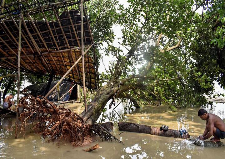 असम के गुवाहाटी में भारी बारिश से काफी तबाही हुई है. यहां कई पेड़ जड़ से उखड़ गए हैं और लोगों के घरों को भी भारी नुकसान पहुंचा है. इस तस्वीर में ऐसे ही एक पेड़ उखड़कर गिरा हुआ है और इसके बराबर में एक शख्स कपड़े धोता नजर आ रहा है.