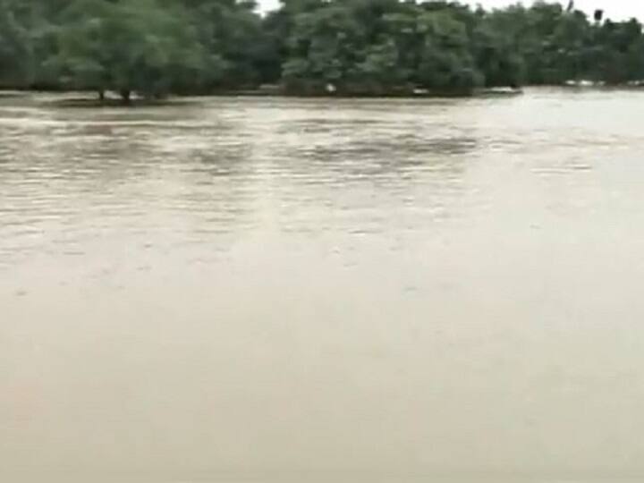 UP- Many districts in the grip of floods, Ganga's water level is rising at two centimeters per hour यूपी: नदियों में उफान से कई जिले बाढ़ की चपेट में, प्रतिघंटा दो सेंटीमीटर रफ्तार से बढ़ रहा है गंगा का जलस्तर