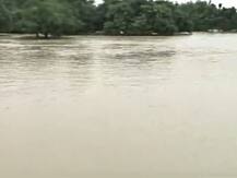 यूपी: नदियों में उफान से कई जिले बाढ़ की चपेट में, प्रतिघंटा दो सेंटीमीटर रफ्तार से बढ़ रहा है गंगा का जलस्तर