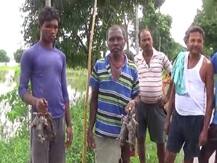 बिहार: कटिहार में चूहे खाने को मजबूर हैं बाढ़ पीड़ित, राबड़ी देवी बोलीं- नीतीश जी, शर्म तो आ नहीं रही होगी?