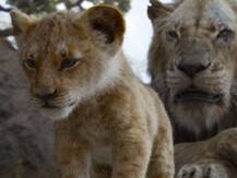 Critics Review: \'द लॉयन किंग\' से फैंस के दिलों में घर कर जाएंगे सिंबा बने आर्यन खान