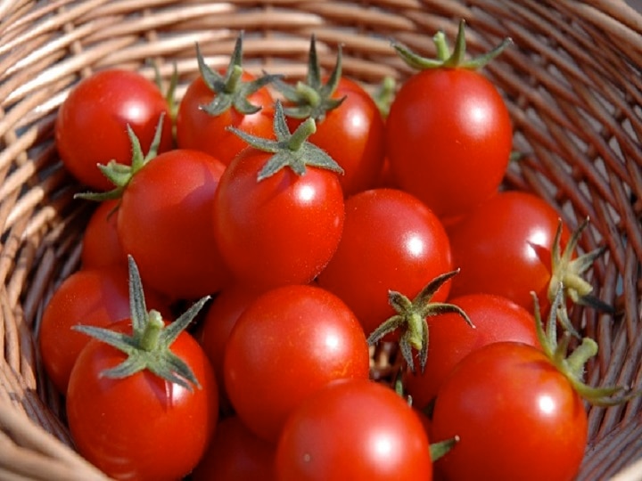 Are you eating too many tomatoes Shocking side effects of eating lot of tomatoes टमाटर का अधिक सेवन शरीर को पहुंचा सकता है नुकसान, जानें इसके साइड-इफेक्ट