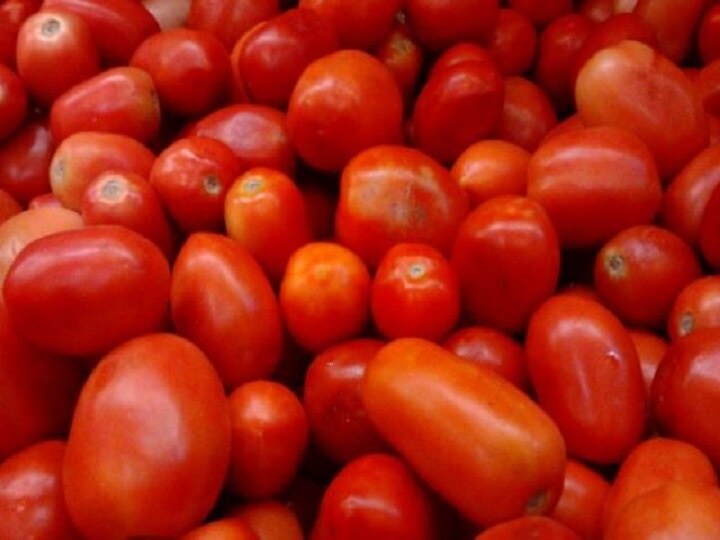 tomato rate high government sale puree टमाटर सस्ते होने में लगेंगे 10 दिन, सरकार ने निकाला समाधान, बेचेगी प्युरी