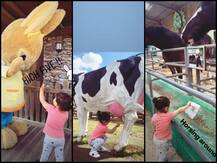 कभी गाय का दूध निकालते तो कभी घोड़ों के साथ खेलते दिखे इनाया और तैमूर, देखें बेहद Cute तस्वीरें