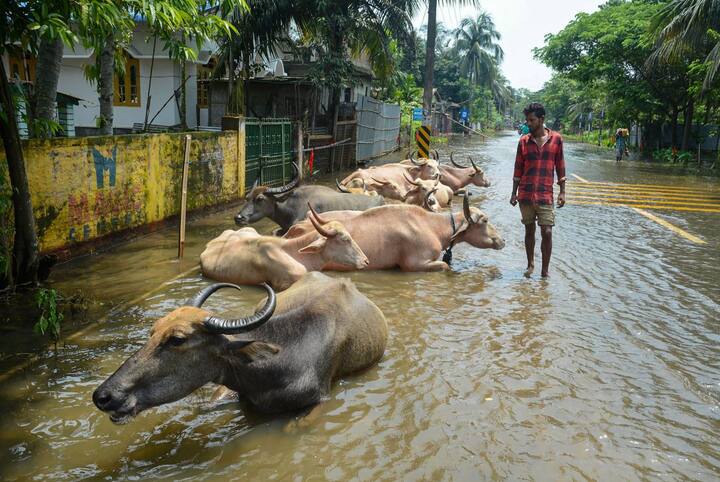 भारत मौसम विभाग के अनुसार बिहार की सभी नदियों के जलग्रहण क्षेत्रों में बुधवार की सुबह तक साधारण बारिश की संभावना जतायी गयी है.