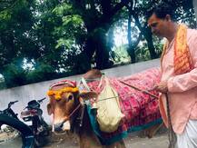 रॉबर्ट वाड्रा ने फेसबुक पर शेयर की गाय की तस्वीर, लिखा- इससे अपना भविष्य जान सकते हैं