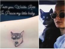 पालतू कुत्ते की याद में जो जोनास और सोफी टर्नर ने बनवाया टैटू