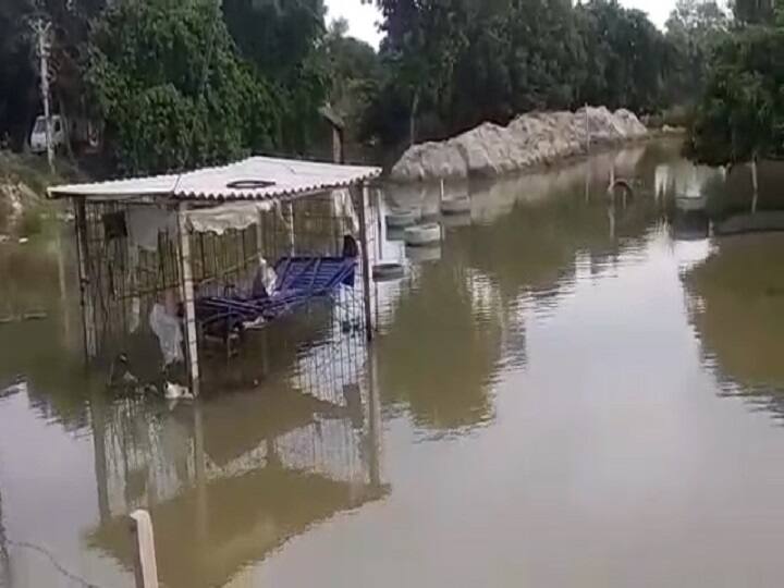 floods in several areas of Darbhanga people in fear of snakes दरभंगा के कई इलाकों में अब भी बाढ़ का कहर, सांप-बिच्छू के खौफ में लोग जीने को मजबूर