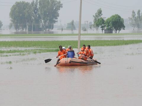 पंजाब: पाकिस्तान ने और पानी छोड़ा, फिरोजपुर में बाढ़ का खतरा, NDRF और सेना की टीम तैनात पंजाब: पाकिस्तान ने और पानी छोड़ा, फिरोजपुर में बाढ़ का खतरा, NDRF और सेना की टीम तैनात