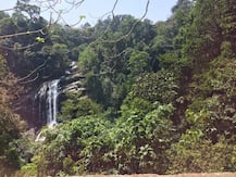 केंद्र सरकार का पर्यावरण पर जोर, ग्रीनरी बढ़ाने के लिए 27 राज्यों को दिए 47,000 करोड़ रुपये