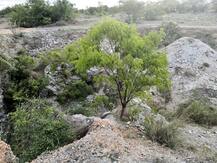 चंद्रयान-2: देश की मिट्टी ने बचाया ISRO के करोड़ों का बजट, इस जगह की खास मिट्टी पर लैंडर का हुआ था टेस्ट