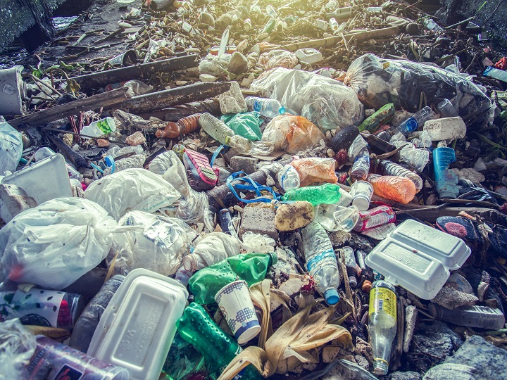 Unique Initiative: This School In Assam Accepts Plastic Waste In Place Of Fees From Students | अनोखी पहल: असम के एक स्कूल में फीस के बदले लिया जाता है प्लास्टिक का कचरा