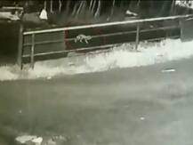 केरल: चलती जीप से मां की गोद से गिरी एक साल की बच्ची, कुदरती करिश्मे से बची जान