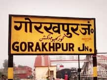 गोरखपुर: गणेश प्रतिमा विसर्जन शोभायात्रा के दौरान हादसा, बिजली का तार गिरने से घोड़े की मौत
