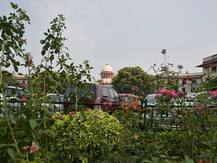 मुंबई: आरे जंगल कटाई मामले में SC की स्पेशल बेंच सोमवार को करेगी सुनवाई, CJI को लिखी गई थी चिट्ठी