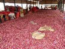 प्याज की लगातार बढ़ती कीमतों ने निकाले आंसू, अभी और बढ़ सकते हैं दाम