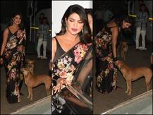 शूट से लौटते वक्त स्ट्रीट डॉग्स से हुई प्रियंका चोपड़ा की मुलाकात, इस तरह किया प्यार, तस्वीरें वायरल