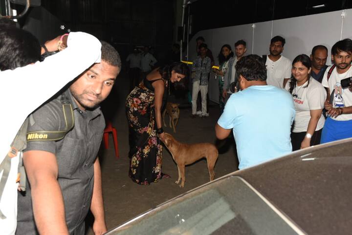 दरअसल जब प्रियंका वहां पहुंची तो कुत्ते उनके पास आकर खड़े हो गए. जब उन्होंने स्ट्रीट डॉग्स को देखा तो खुद को उन्हें प्यार दुलार करने से नहीं रोक पाईं. (तस्वीर: मानव मंगलानी)