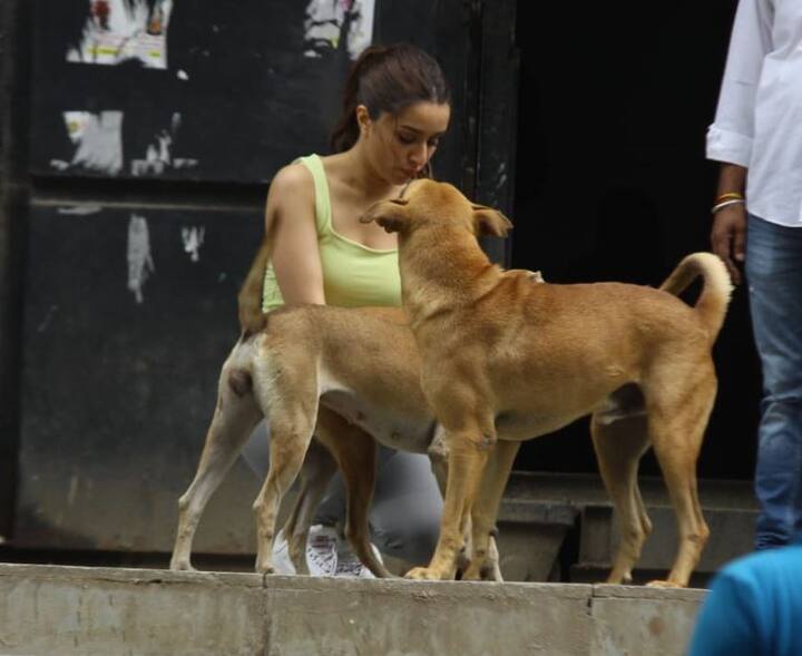 वहीं, निर्देशक रेमो डिसूजा 'स्ट्रीट डांसर 3डी' का निर्देशन करते नजर आएंगे. रेमो ने इससे पहले 'एबीसीडी : एनीबडी कैन डांस' और 'एबीसीडी 2' जैसी फिल्में बनाई हैं.