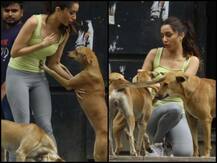 शूट से लौट रहीं श्रद्धा कपूर को स्ट्रीट डॉग्स ने घेरा, सामने आईं ऐसी तस्वीरें
