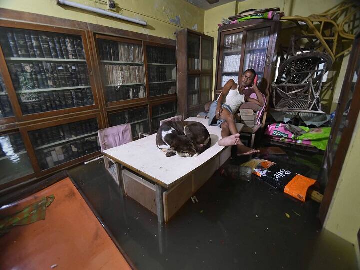 दानापुर मंडल के विभिन्न क्षेत्रों में भारी बारिश के कारण पटना जंक्शन पर जलस्तर में वृद्धि के कारण सात ट्रेनों को रद्द कर दिया गया है और आठ ट्रेनों का विभिन्न रेलवे स्टेशनों पर आंशिक समापन किया गया है.