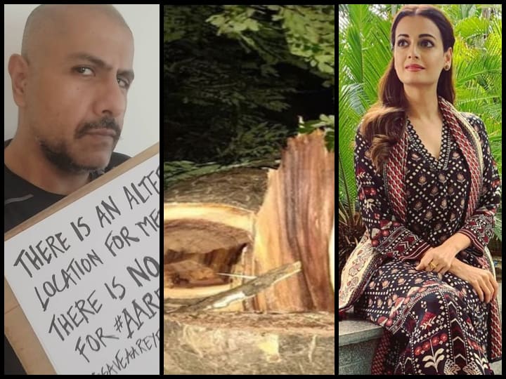 HC के आदेश के बाद आरे के पेड़ों की कटाई शुरू, दीया मिर्ज़ा, विशाल ददलानी समेत कई हस्तियों ने किया विरोध Dia mirza, vishal dadlani, and many celebs express their anger over Aarey forest cut HC के आदेश के बाद आरे के पेड़ों की कटाई शुरू, दीया मिर्ज़ा, विशाल ददलानी समेत कई हस्तियों ने किया विरोध