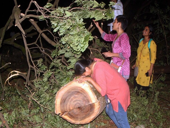 Aarey forest: Maharashtra CM Uddhav Thackeray I have ordered to take back the cases filed against many environmentalist CM उद्धव ठाकरे का एलान, 'आरे कॉलोनी को लेकर जिन लोगों पर केस हुए हैं, वो वापस होंगे'