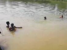 राजस्थान के धौलपुर में दुर्गा मूर्ति विसर्जन के दौरान हादसा, 10 लोगों की डूबने से मौत